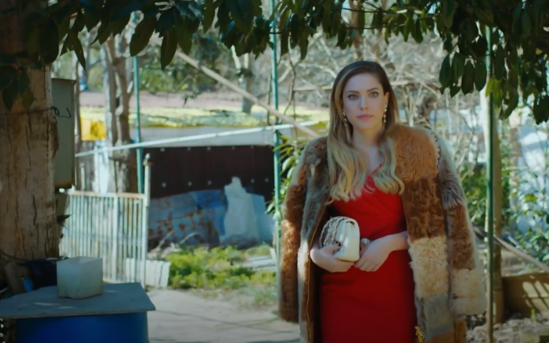 Capítulo 135 | Capítulos