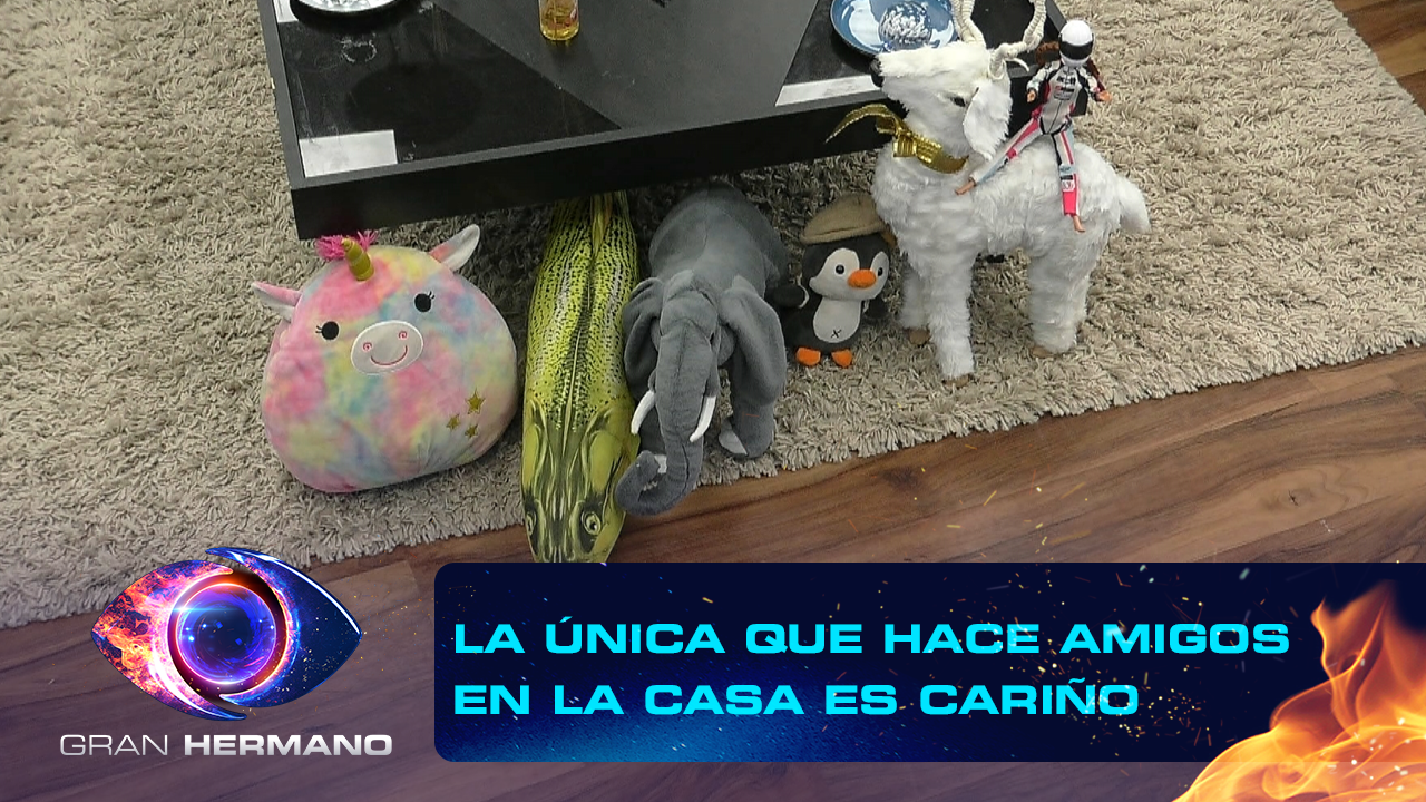 Programa 84 | Programas 2025