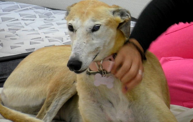 Paris encontró mucho amor en sus primeros días en la casa de GH | Mejores momentos