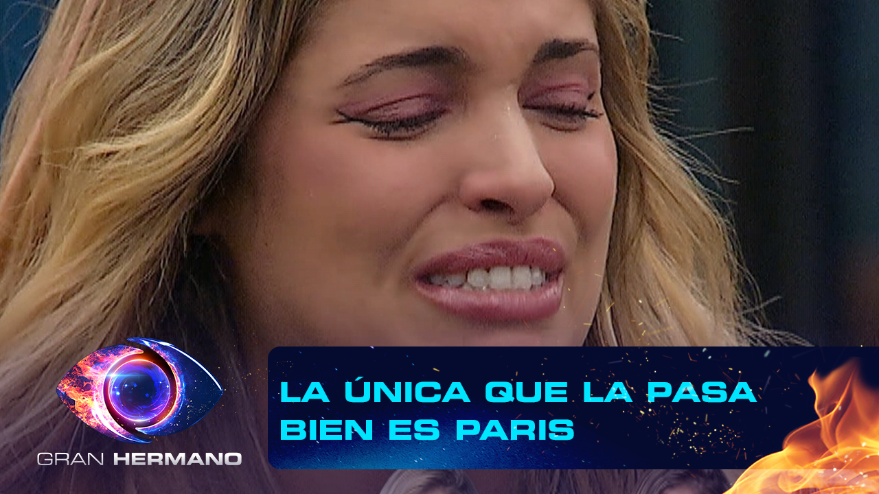 Programa 97 | Programas 2025