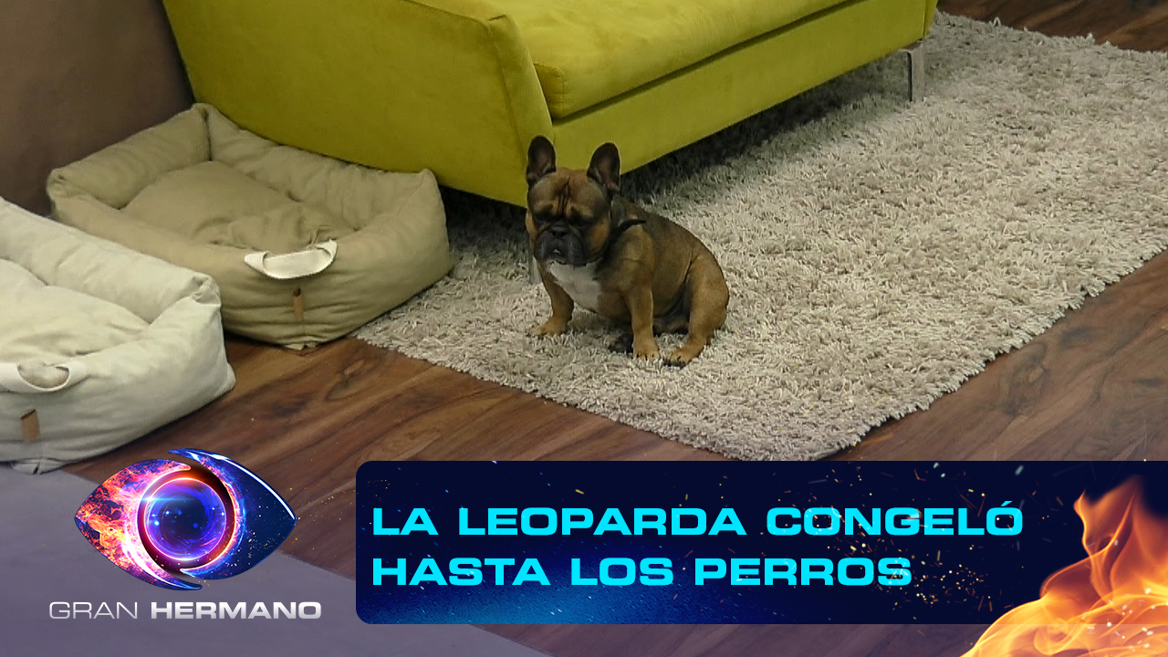 Programa 117 | Programas 2025