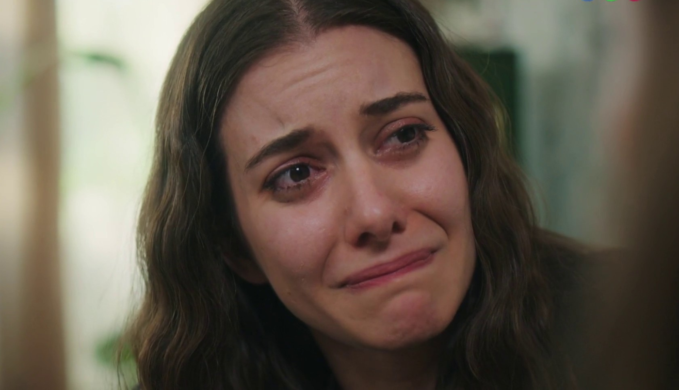 Capítulo 169 | Capítulos