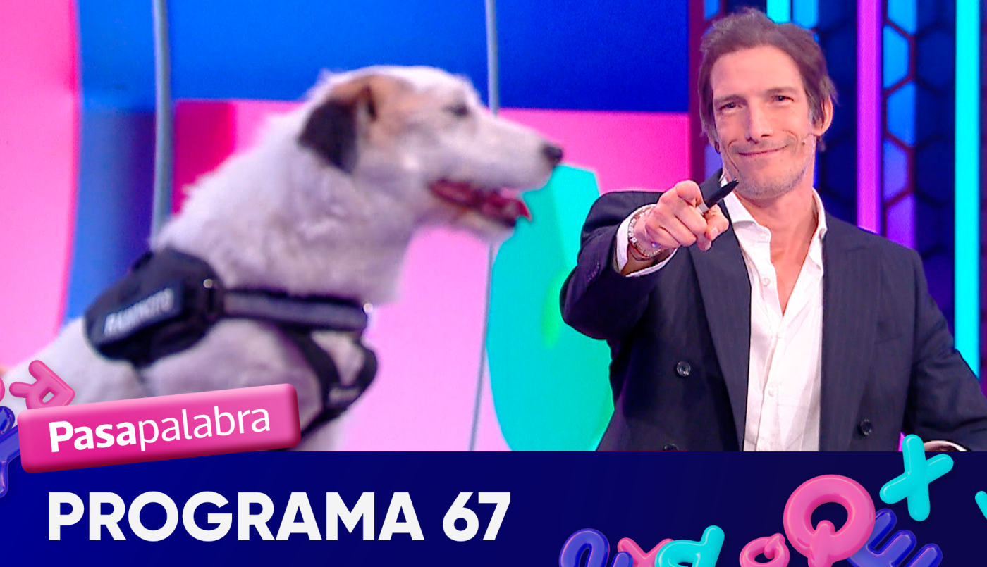 Programa 67 | Programas 2025
