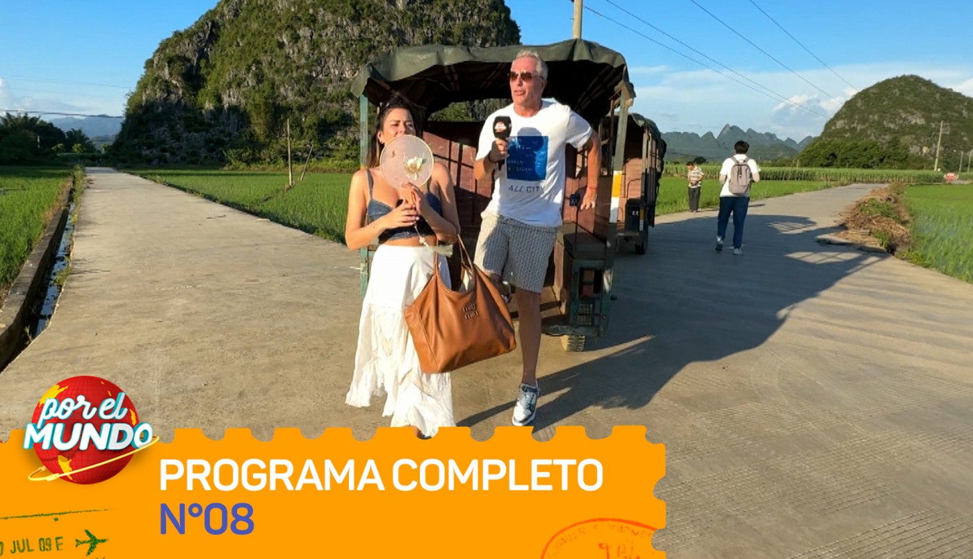 Programa 08 | Programas 2025/2026