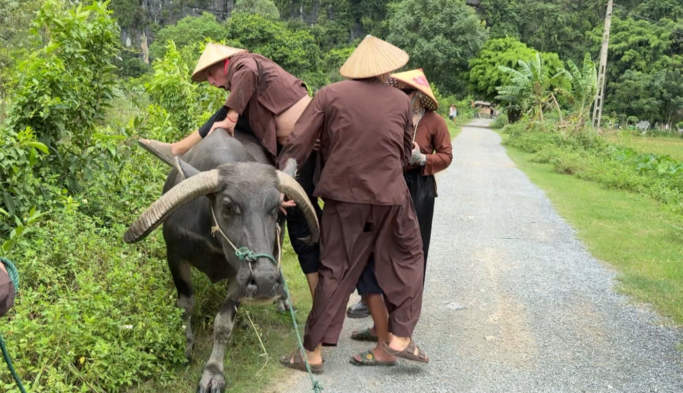 El intento fallido de Marley de subirse a un búfalo: "Se me rompió el pantalón" | Mejores Momentos