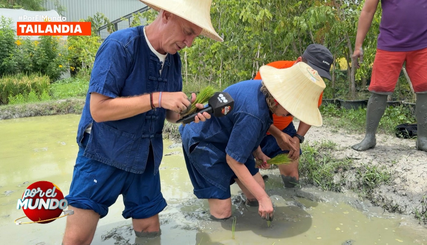 Marley y Georgina Barbarossa plantaron y cosecharon arroz en Tailandia | Mejores Momentos