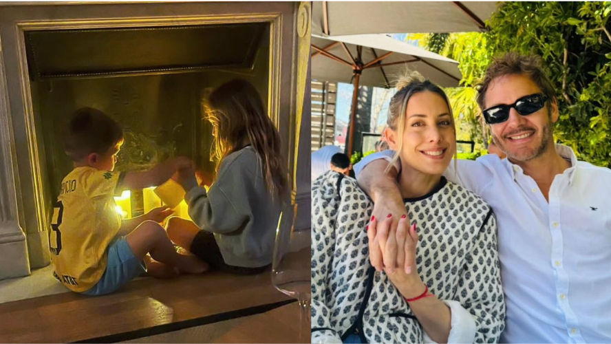 el reencuentro de vicuña con sus hijos | Espectáculos