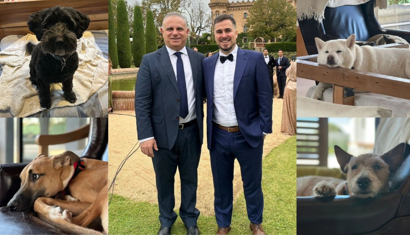 Dos proteccionistas se casan y sus perrihijos serán los testigos: firmarán con sus patitas | Virales