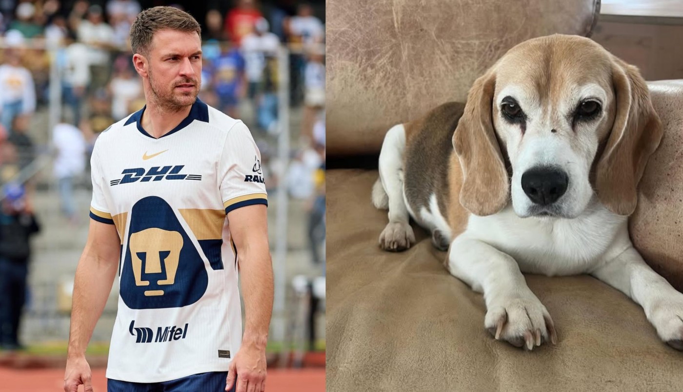 Aaron Ramsey pide ayuda para encontrar a su perro perdido en México: ofrece recompensa | Sociedad
