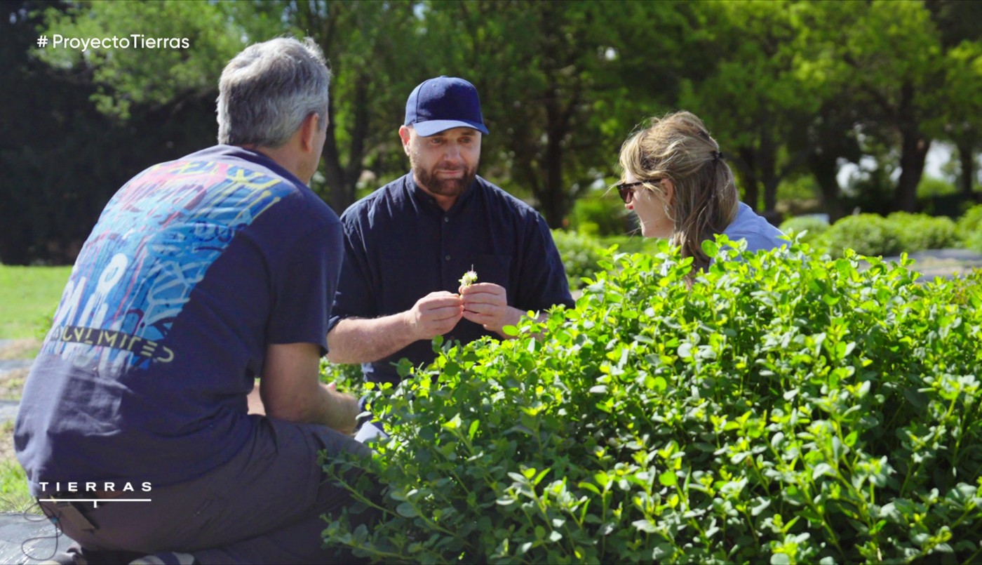 Programa 02 | Programas 2025