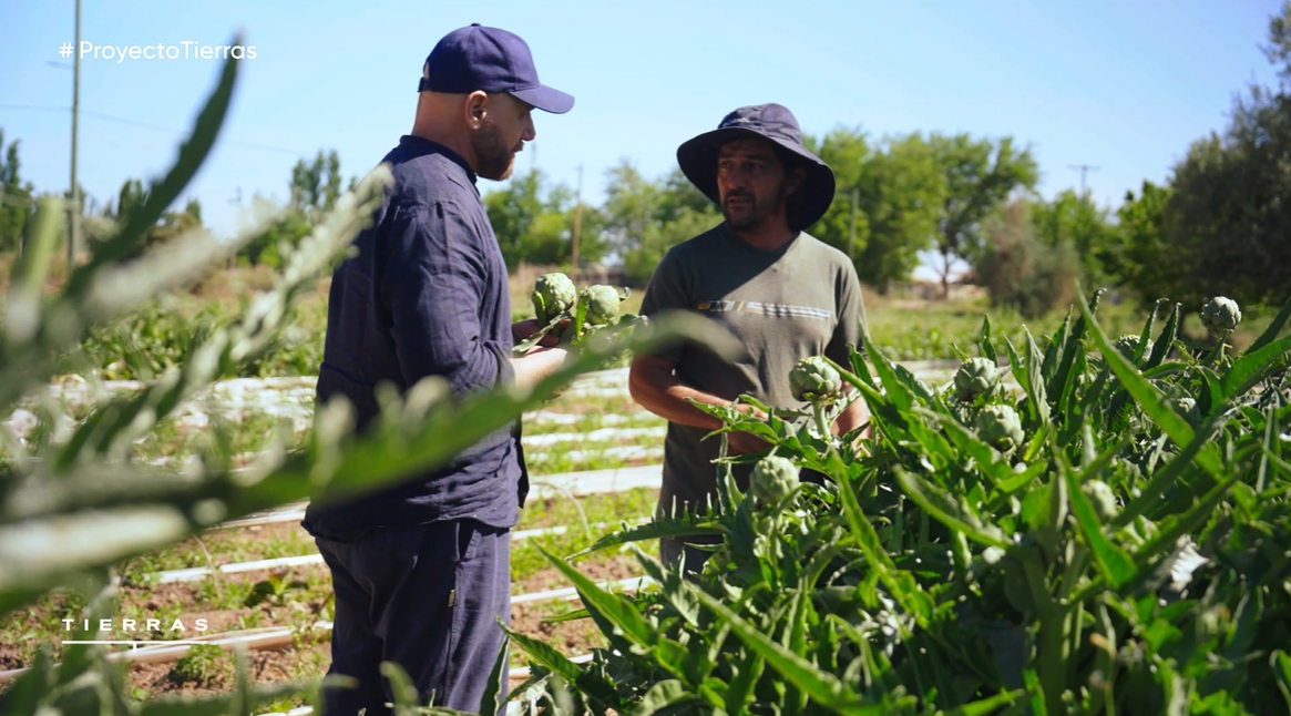 Programa 03 | Programas 2025