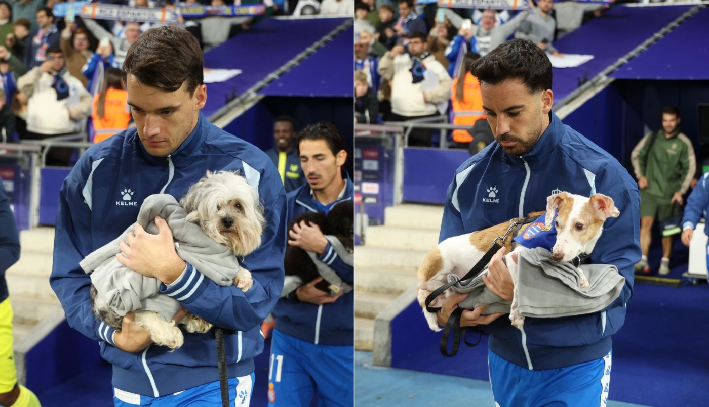 Campaña solidaria en el fútbol español: un equipo ingresó a la cancha con perros en adopción | Novedades