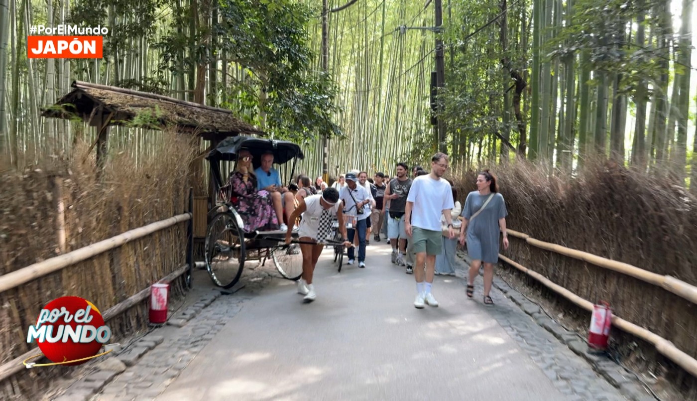 La particular manera en que Marley y Vicky Xipolitakis recorrieron el bosque de bambú | Mejores Momentos