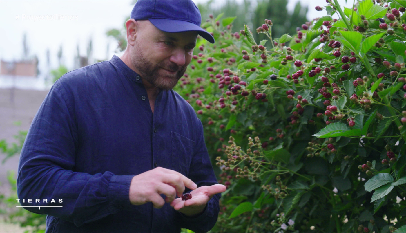 Programa 10 | Programas 2025