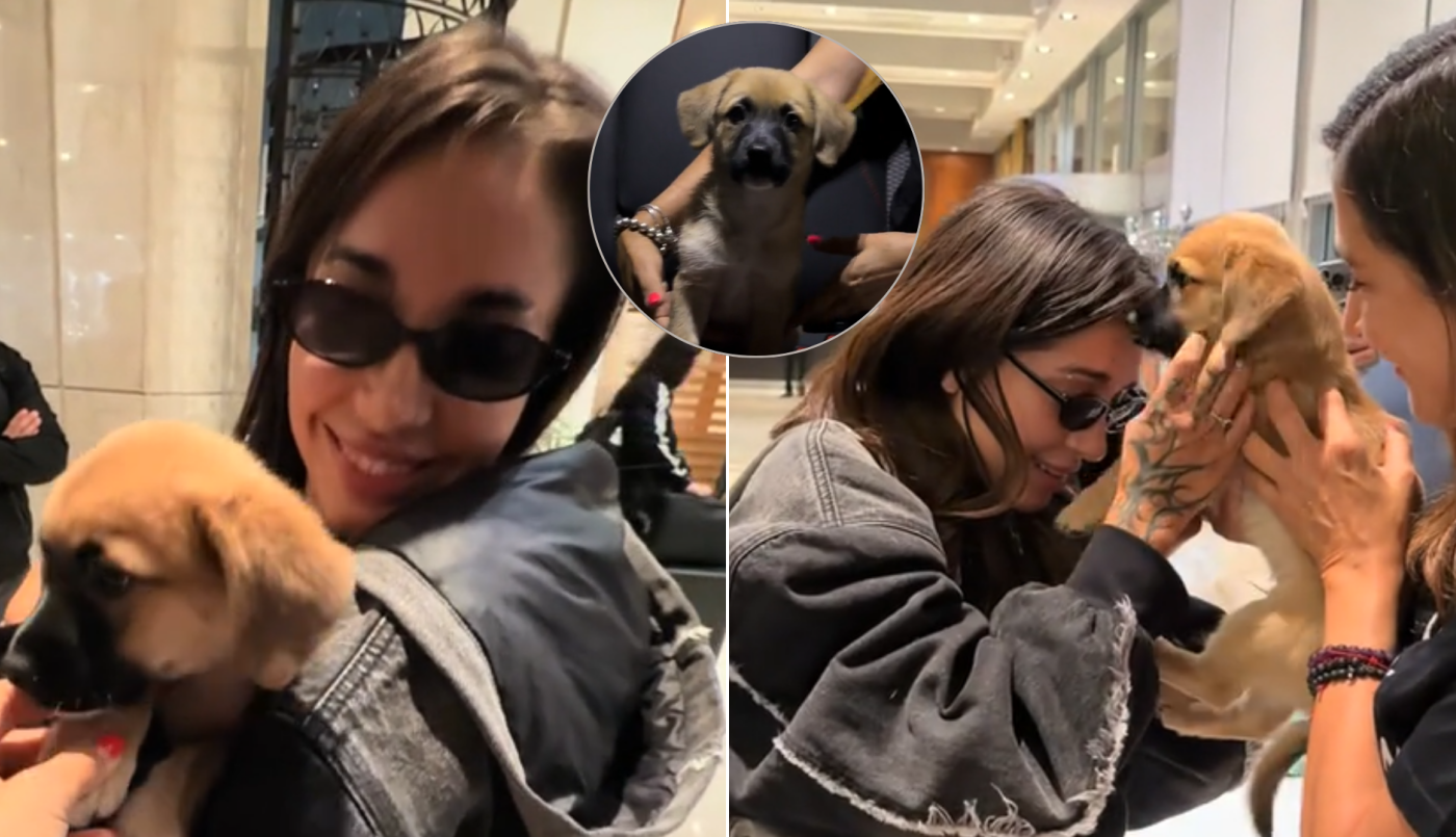 De Chile a Argentina: el tierno video de María Becerra adoptando a Piloto, su nuevo "hijo" de cuatro patas | Espectáculos