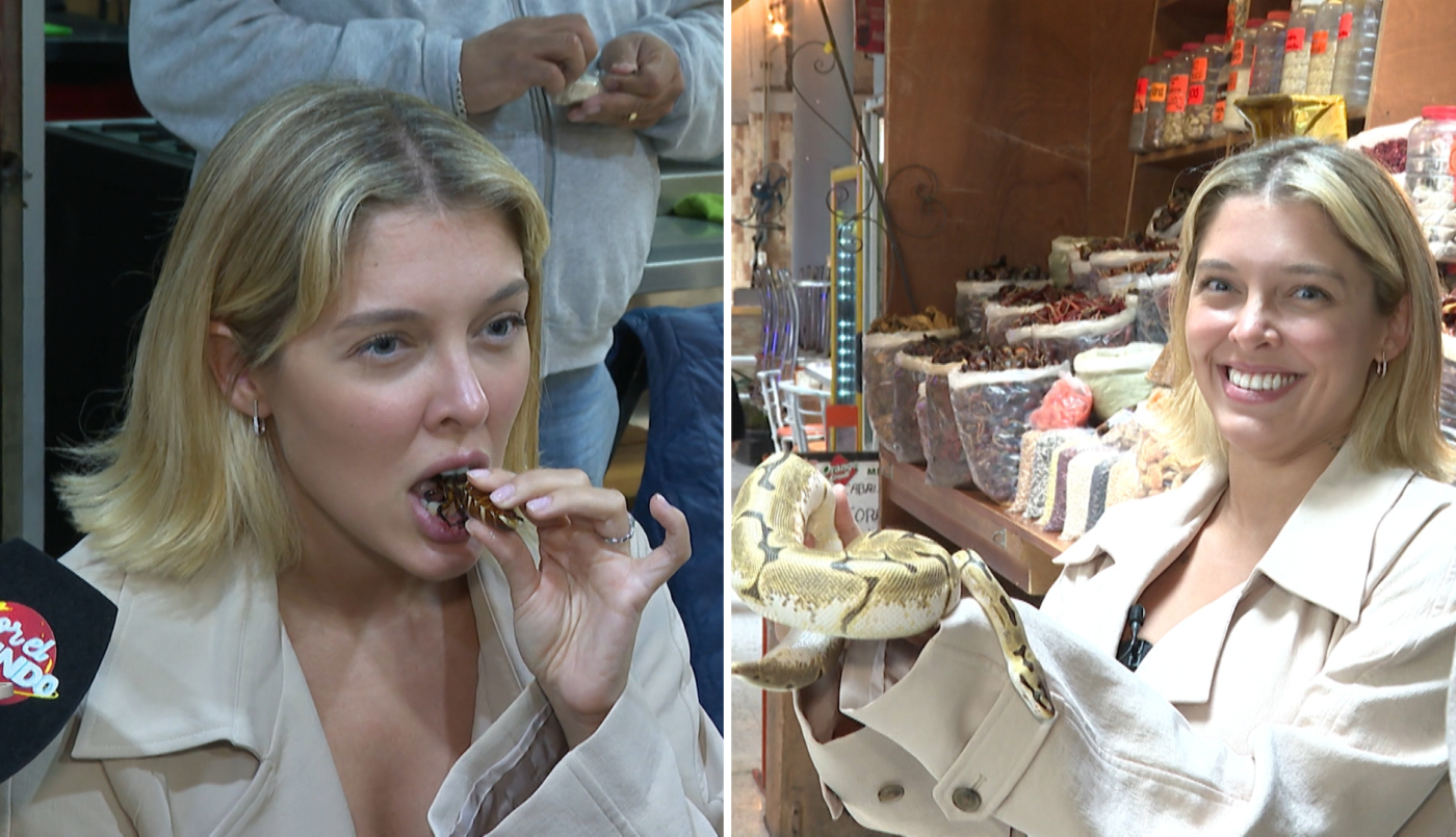 Serpientes, tarántulas y cucarachas: la experiencia más extrema de la Reini en México | Mejores Momentos