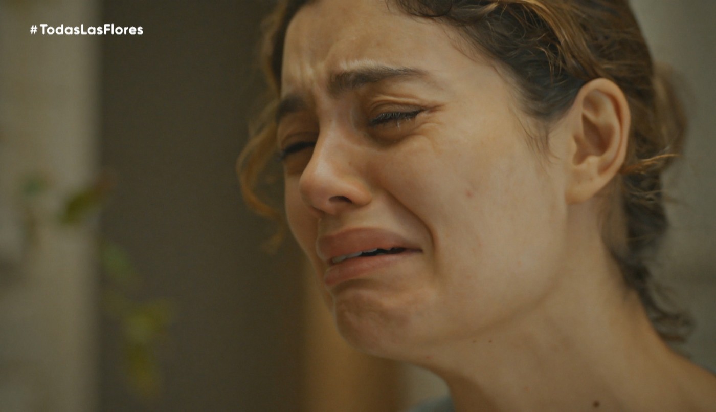 Capítulo 37 | Capítulos completos