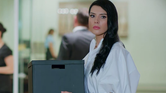 Verdades que duelen | Resúmenes