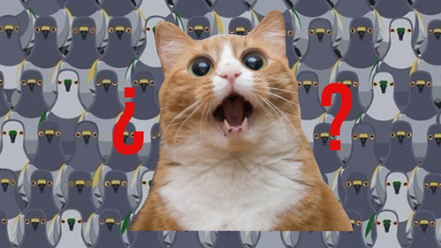 DESAFÍO VIRAL: ¿Podrás encontrar el gato oculto entre las palomas? | Virales