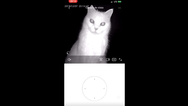 ¿La cámara vigila a la gata o la gata vigila a la cámara? | Virales