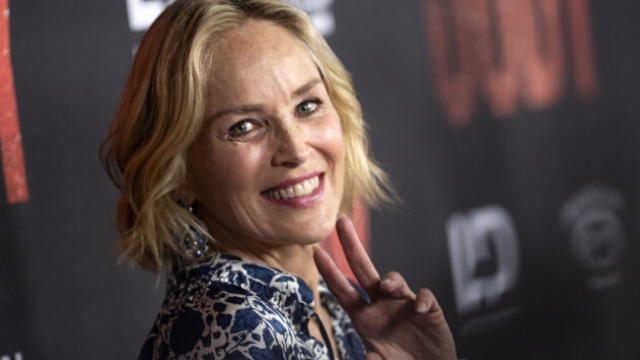 Sharon Stone se bajó una aplicación de citas, pero fue bloqueada | Espectáculos