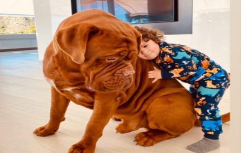 Furor por la mascota de la familia Messi | Espectáculos