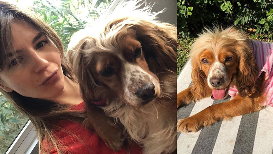 ¿Conocés a “Perri”? La mascota a la que Marcela Kloosterboer le salvó la vida | Espectáculos