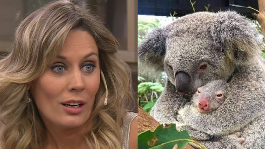 Rocío Marengo se sinceró con todos luego de que la acusaran de robarse un koala | Espectáculos