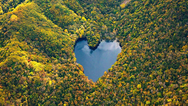 San Valentín: 10 corazones que nos regala la naturaleza | Tendencias