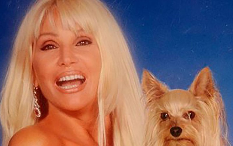 El efusivo saludo que recibió Susana Giménez de sus perros | Espectáculos