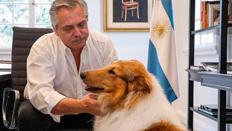 El saludo de Dylan a Alberto Fernández por su cumpleaños | Virales