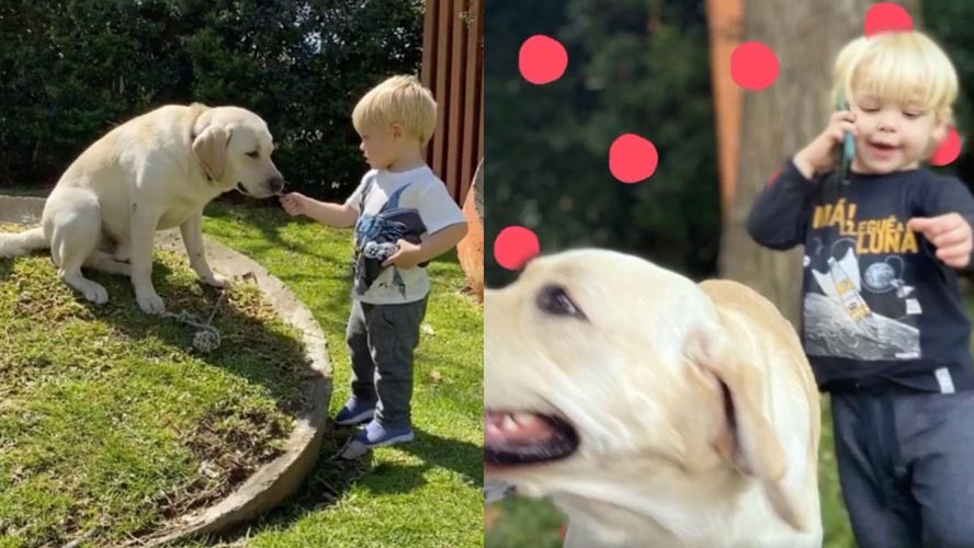 Mirko celebró el día del animal junto a su mascota | Espectáculos