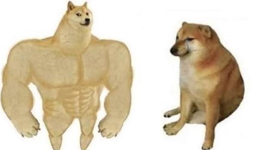 El exitoso meme del perro que compara la vida antes y ahora | Virales