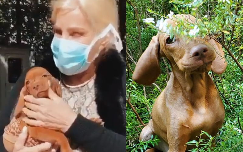 El tierno video de Susana y Rita | Espectáculos