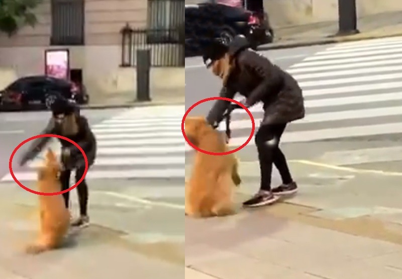 Escrachan a la mujer que le dio una golpiza a su perro en plena calle de Buenos Aires | Virales