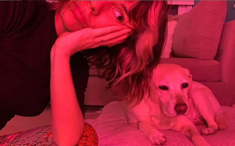 El tierno mensaje de Gimena Accardi a su mascota | Espectáculos