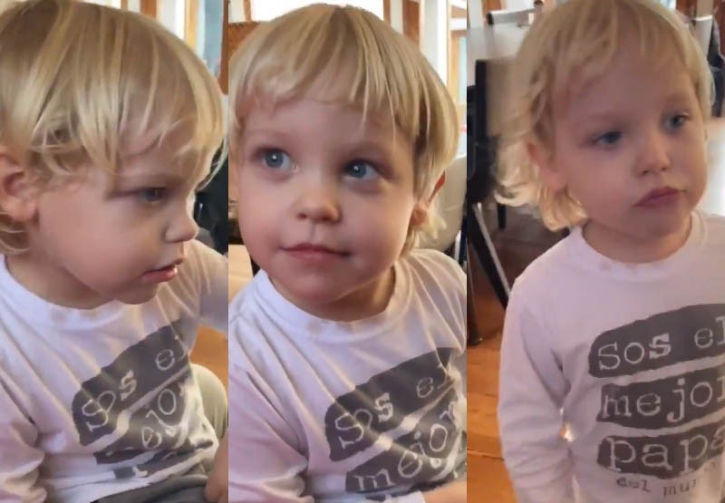 Así son las clases virtuales con las que se divierte y aprende Mirko | Espectáculos