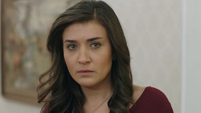 Capítulo 65 | Capítulos