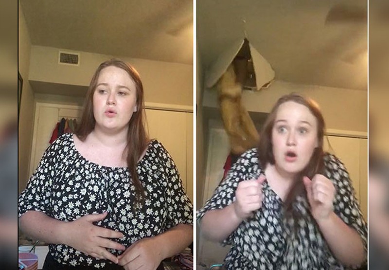 Grababa un TikTok pero algo insólito ocurrió | Virales