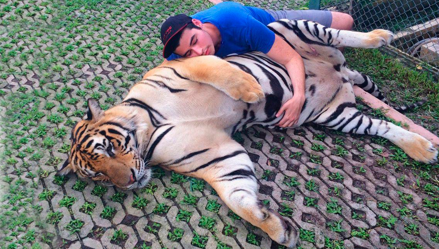 La historia de vida de un fotógrafo que cumplió "el sueño americano" | Virales