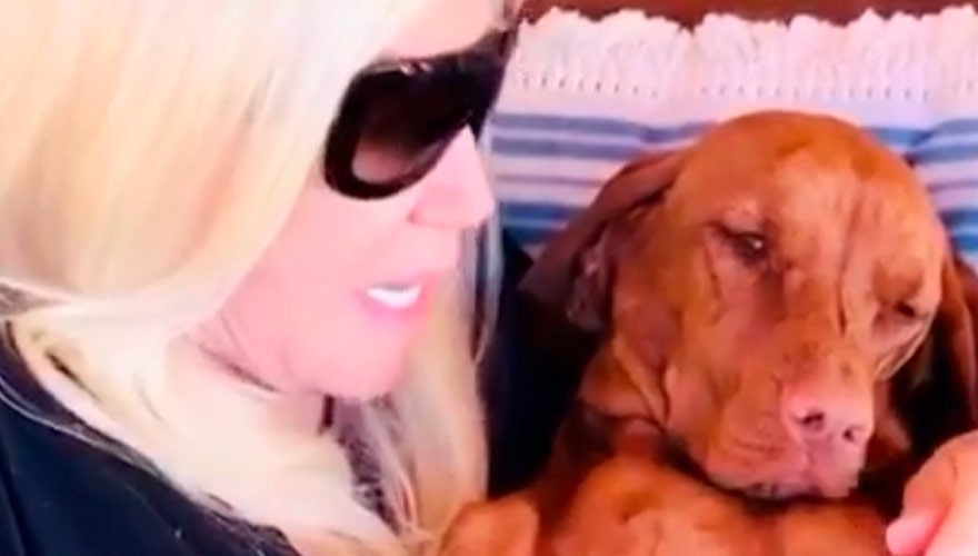 El ruego de Susana a una de sus perras | Espectáculos