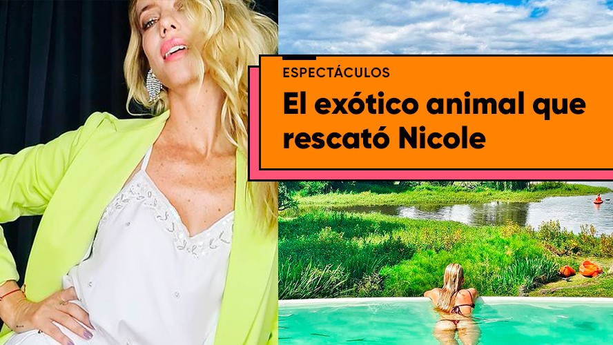 La particular mascota que rescató Nicole Neumann | Espectáculos