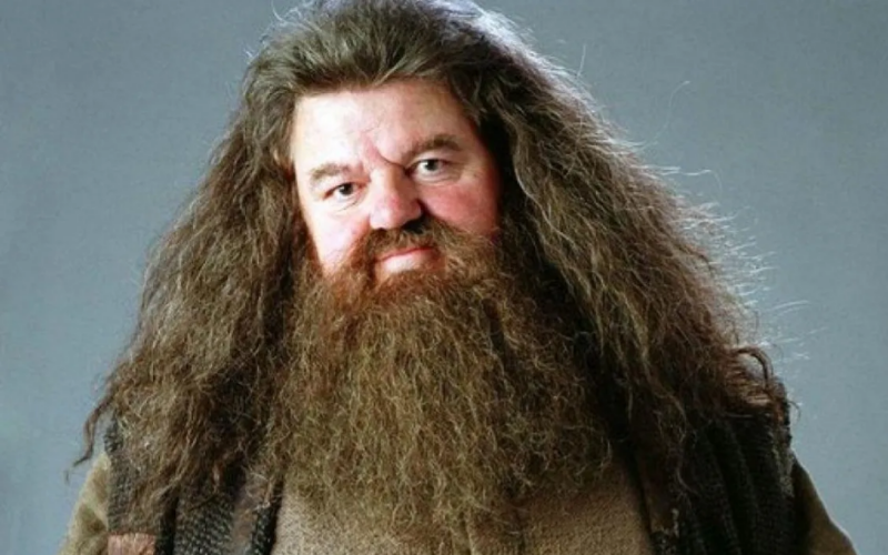 Murió Robbie Coltrane, el actor que interpretó a Hagrid en Harry Potter | Espectáculos