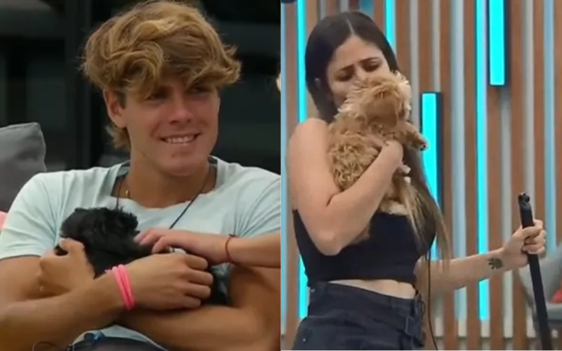 Entrevista al veterinario de Caramelo y Mora: ¿Está bien o mal que los cachorros se separen? | Noticias