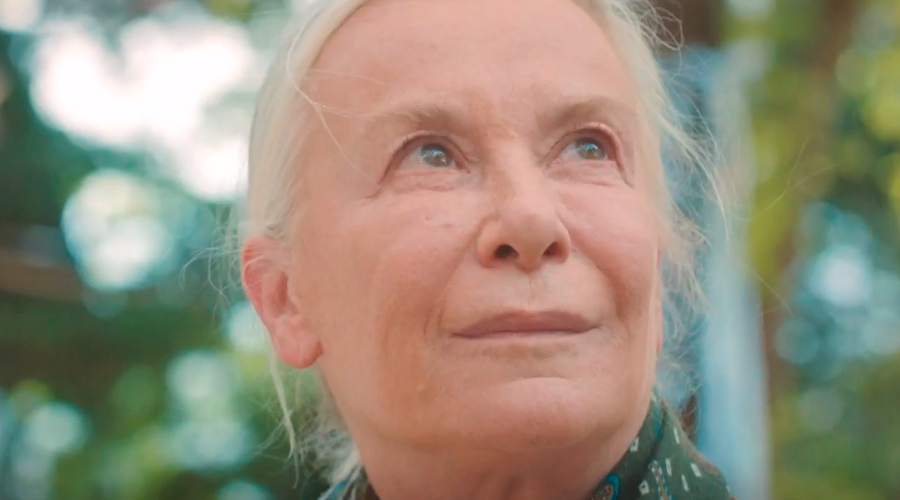 Capítulo 298 | Capítulos