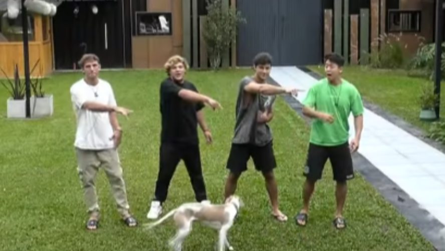 "Los bros" preparan un show a puro baile y diversion | Mejores momentos