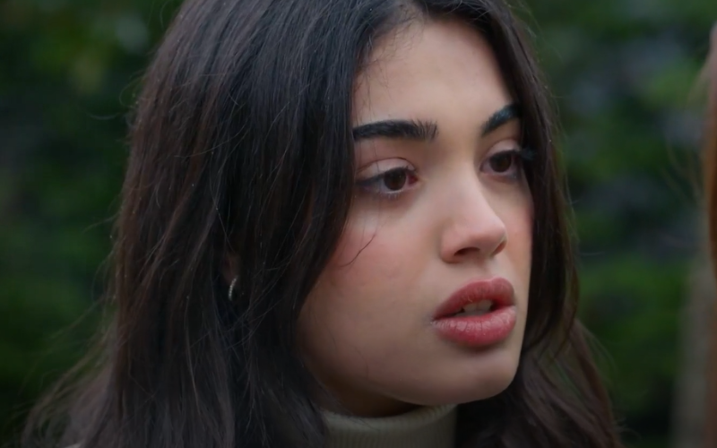 Capítulo 328 | Capítulos