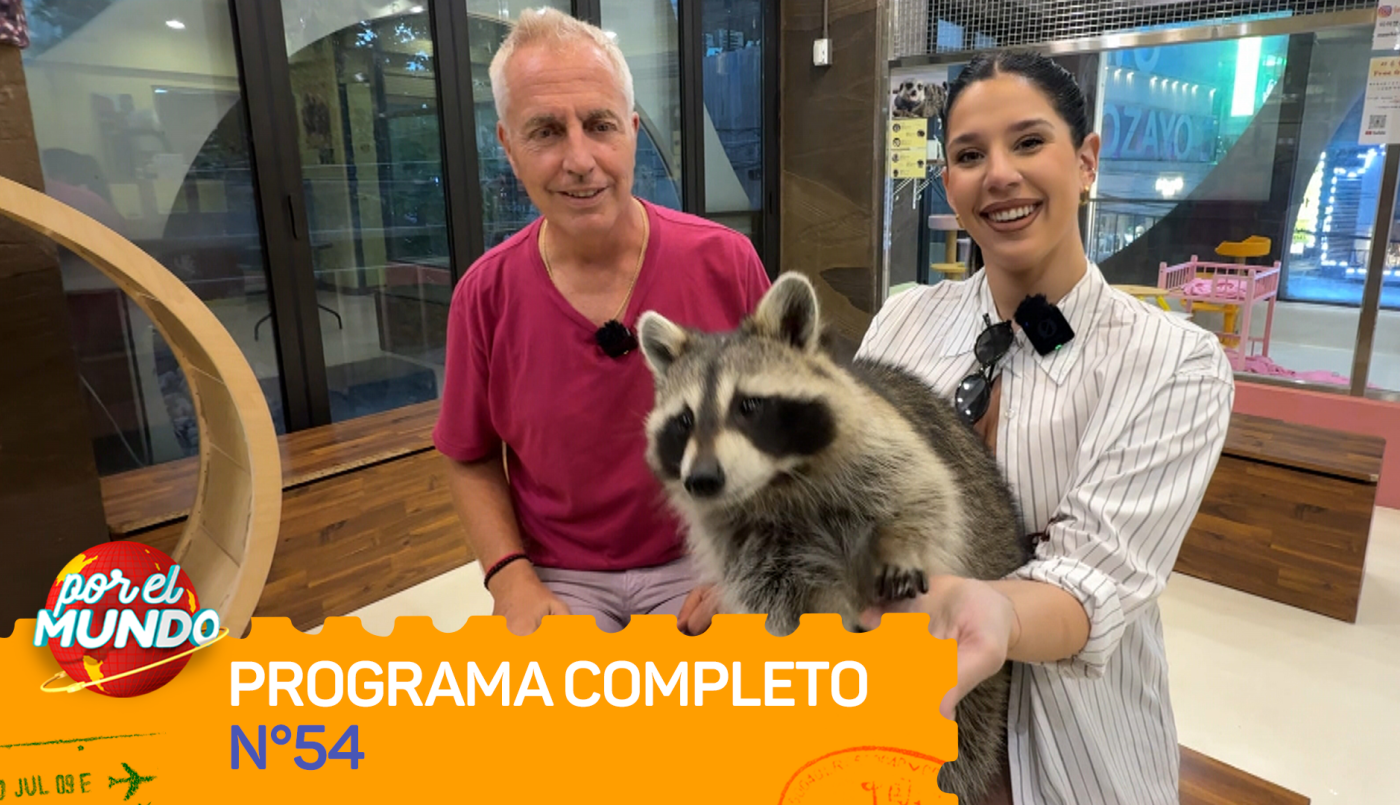 Programa 54 | Programas 2025/2026