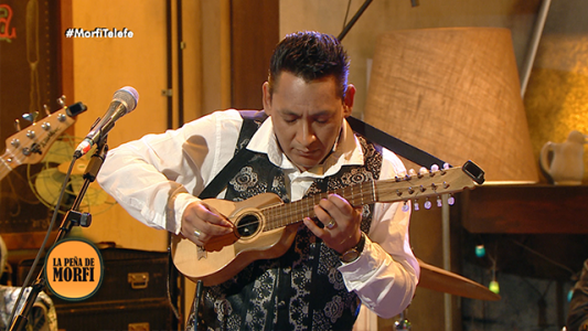 "Despacito" versión charango