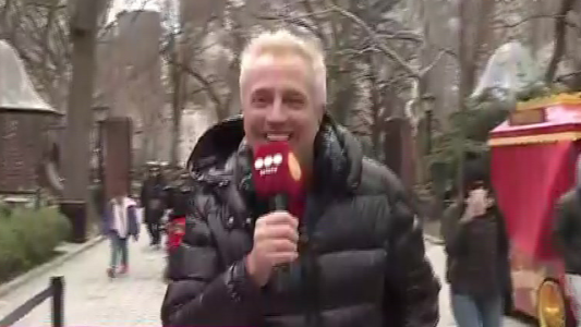 ¡Recorremos Nueva York con Marley!